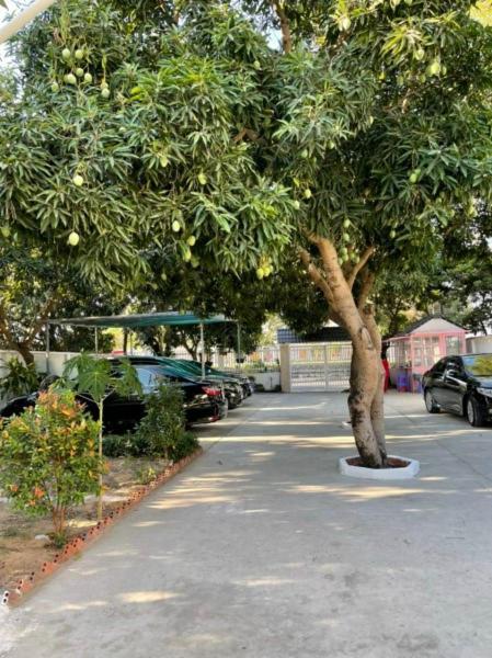 Mango Villa Long Hai Beach Экстерьер фото